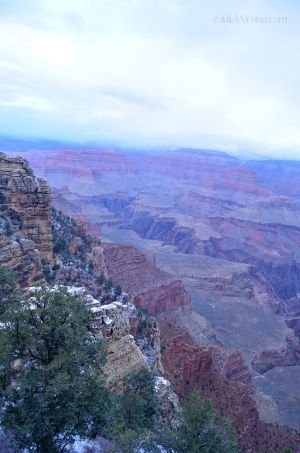 JKW_8211web Cold Morning in Grand Canyon.jpg